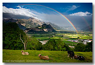 Switzerland Images